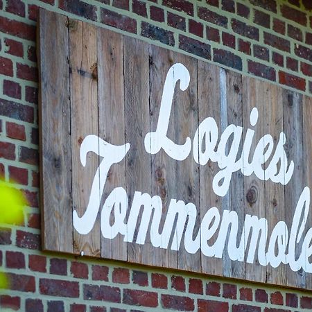 グリムベルゲンLogies Tommenmolenアパートメント エクステリア 写真
